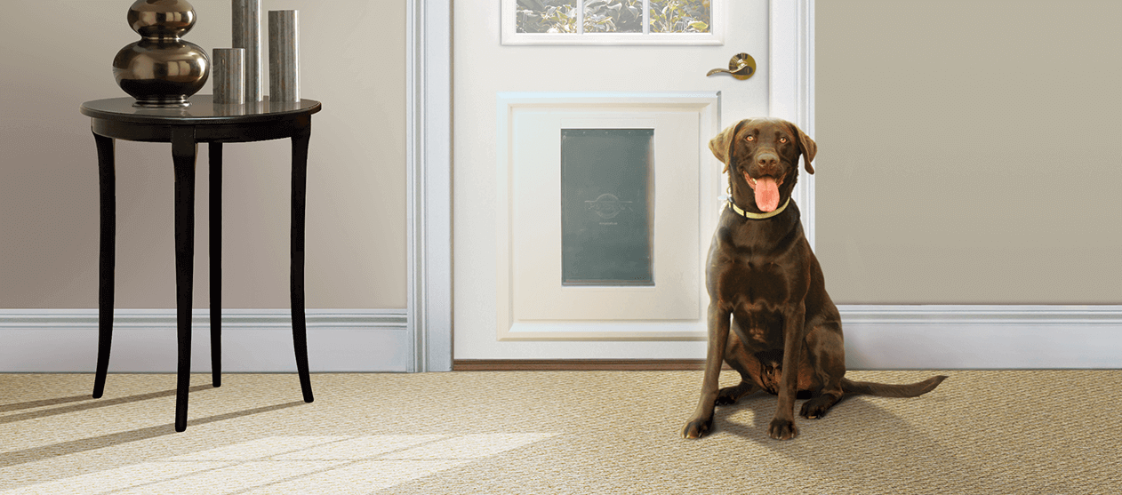 Exterior door with built in pet door menards clearance