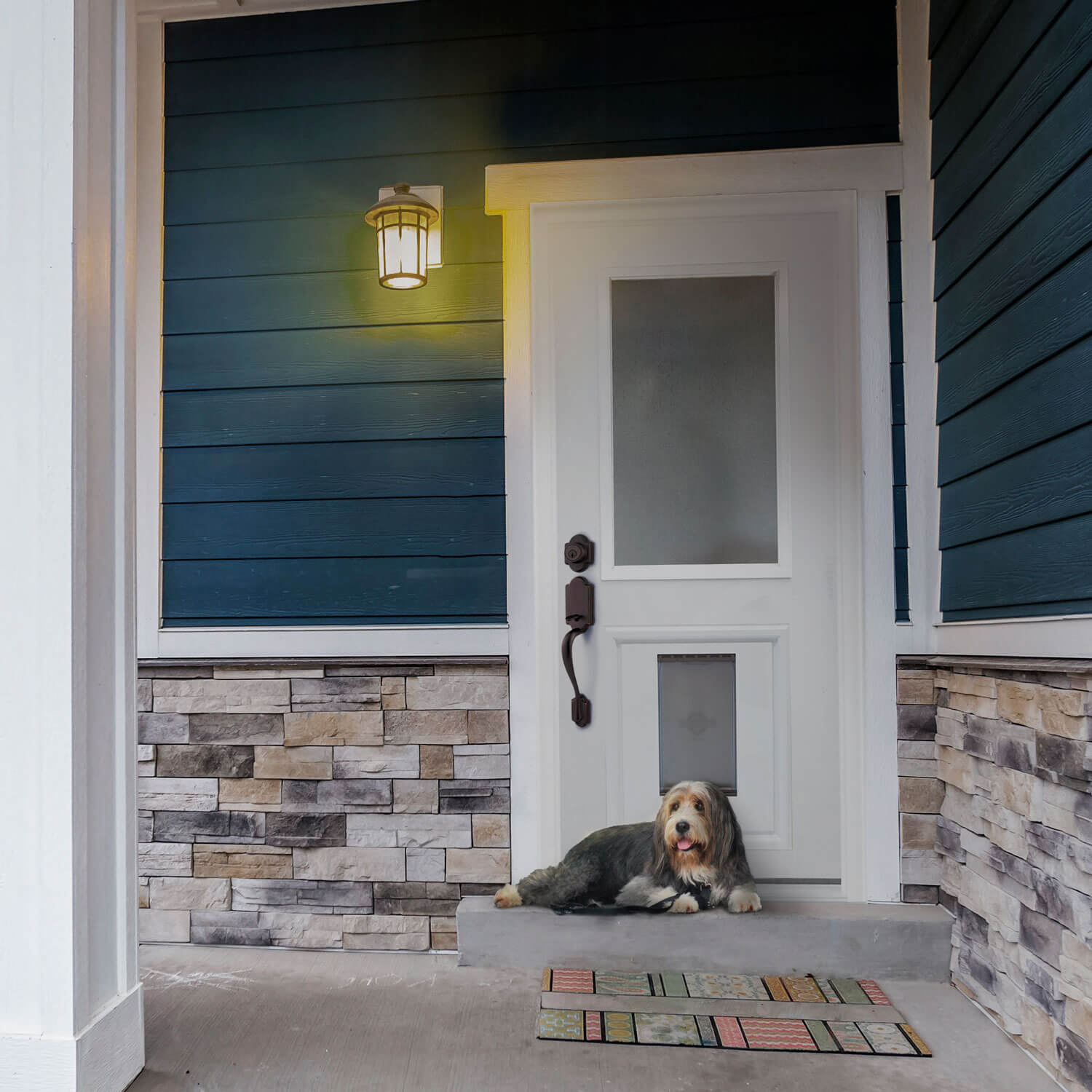 Chord with Pet Door
