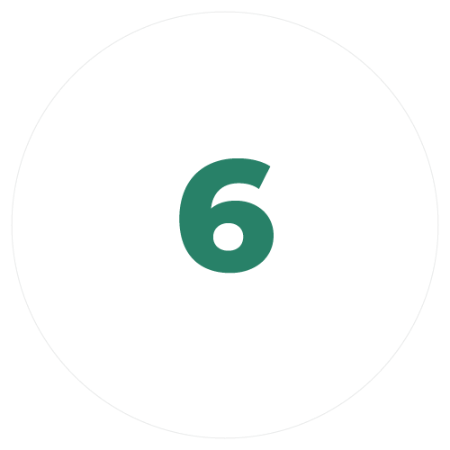 6 icon