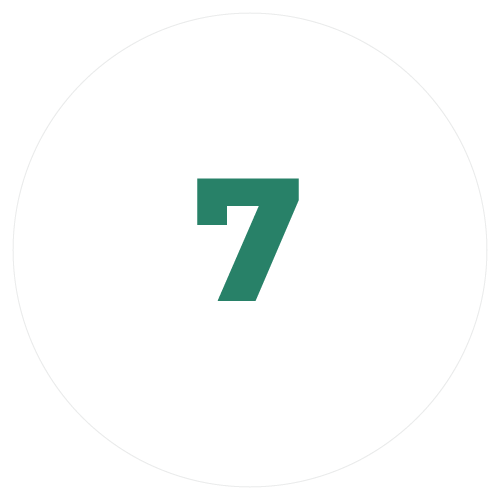 7 icon